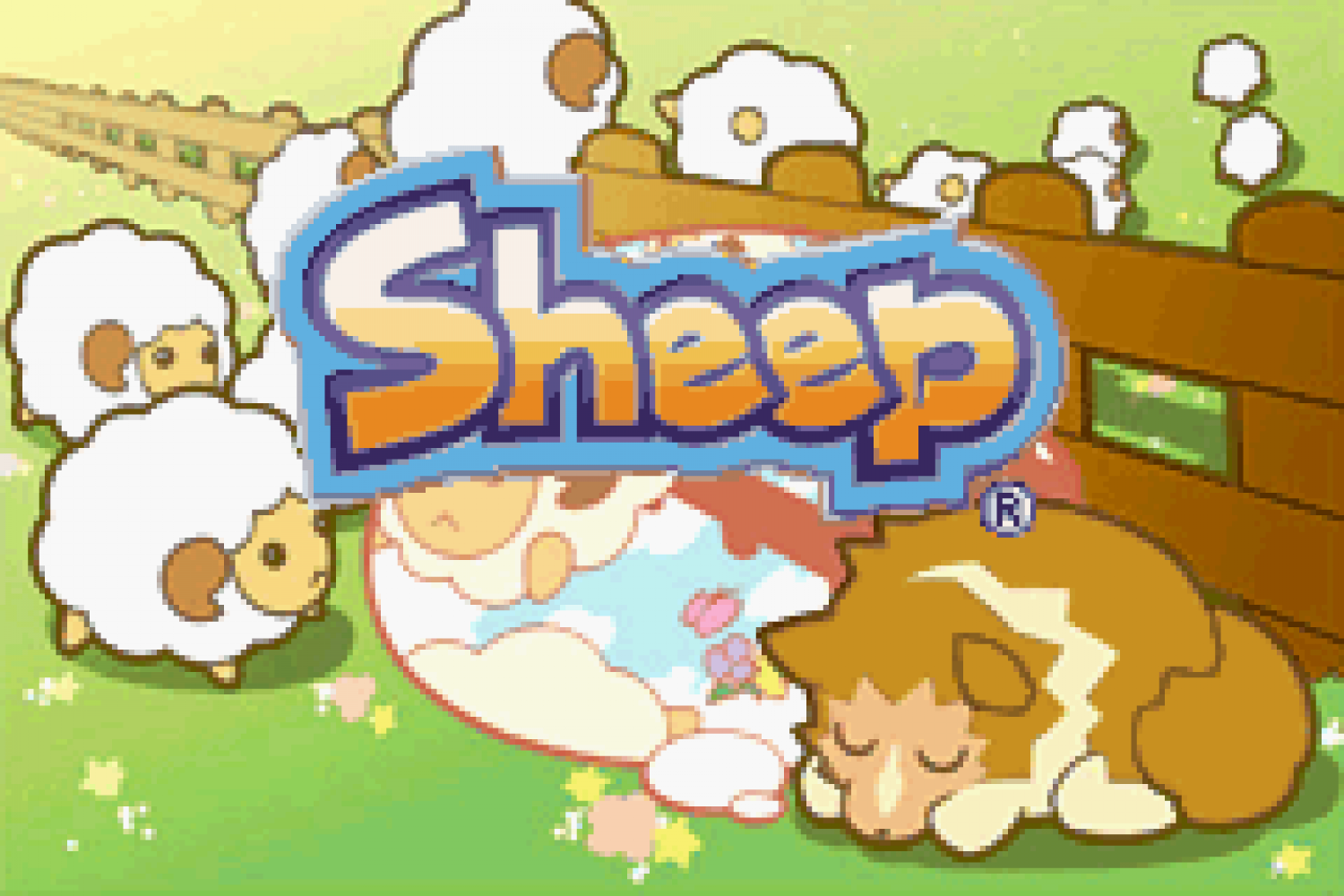 Sheep
